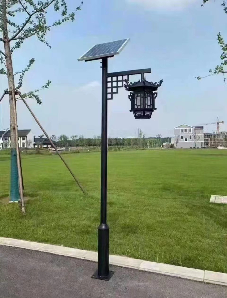 �е�̫���ͥԺ��