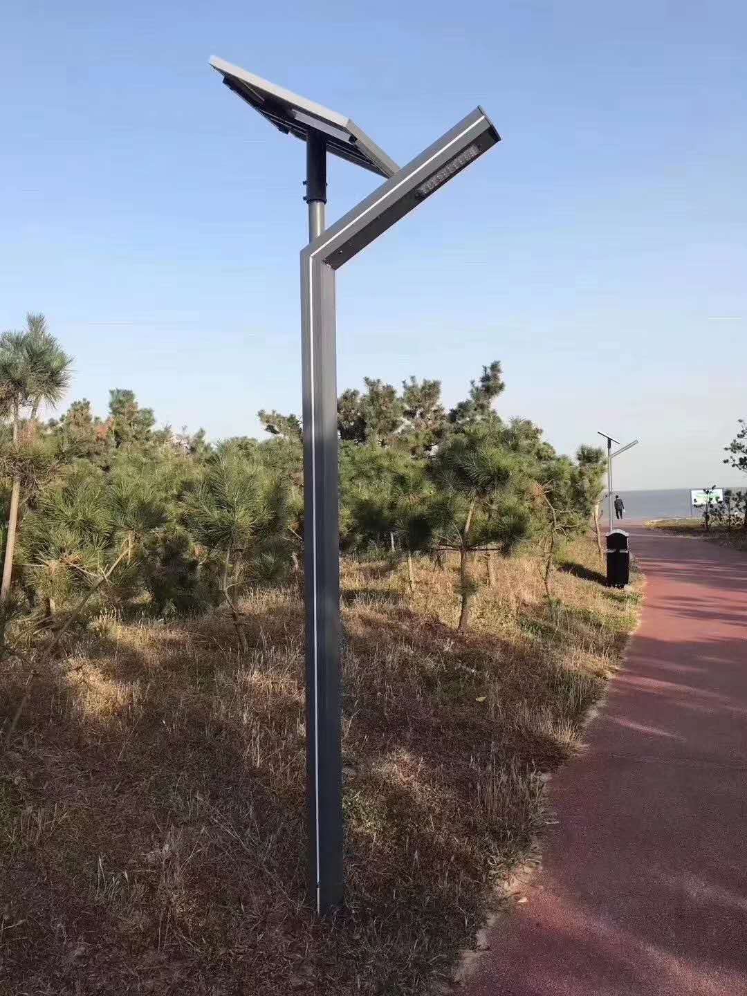 �е�̫���ͥԺ��